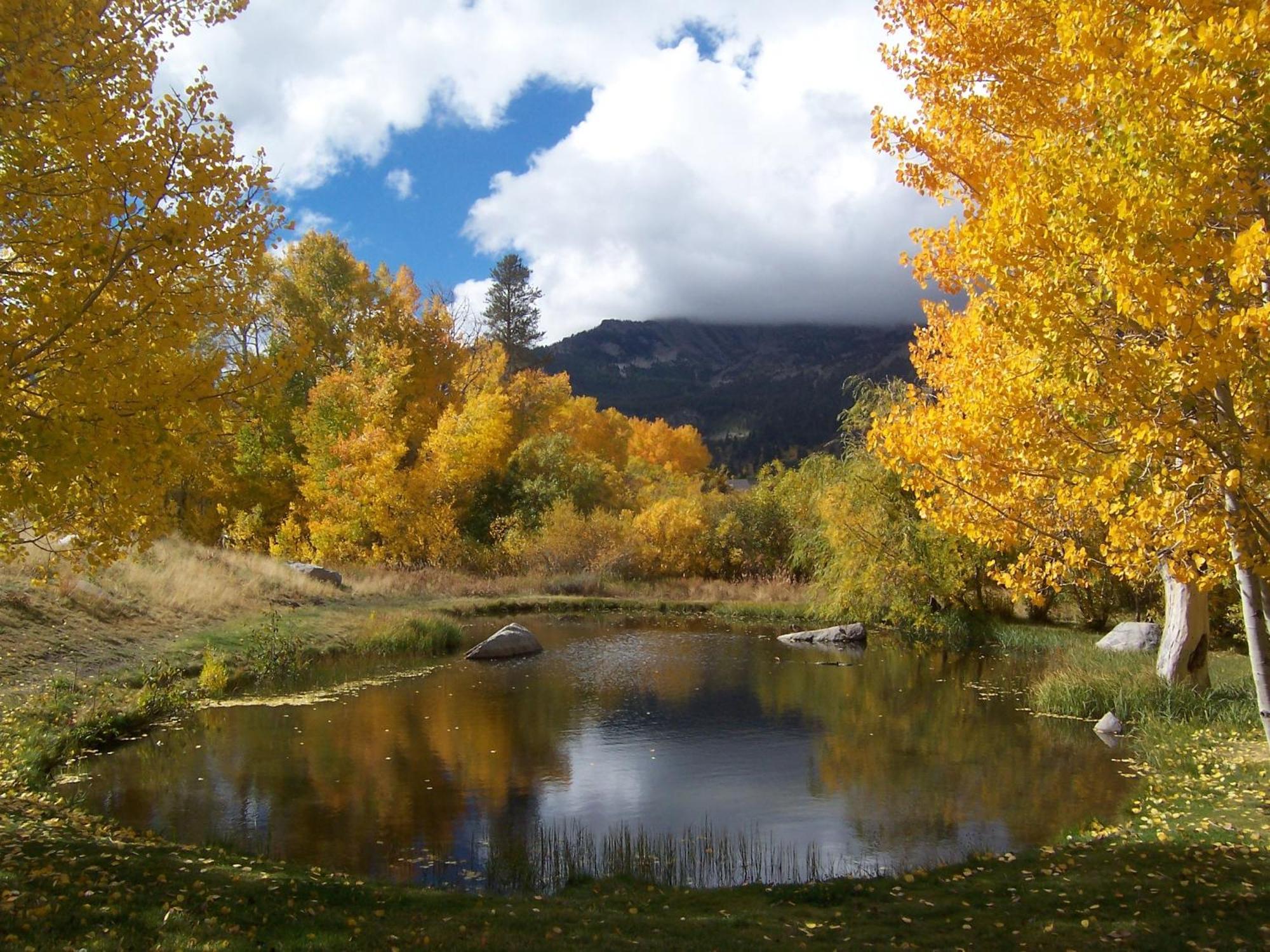 Snowcreek Resort Vacation Rentals Mammoth Lakes Eksteriør billede